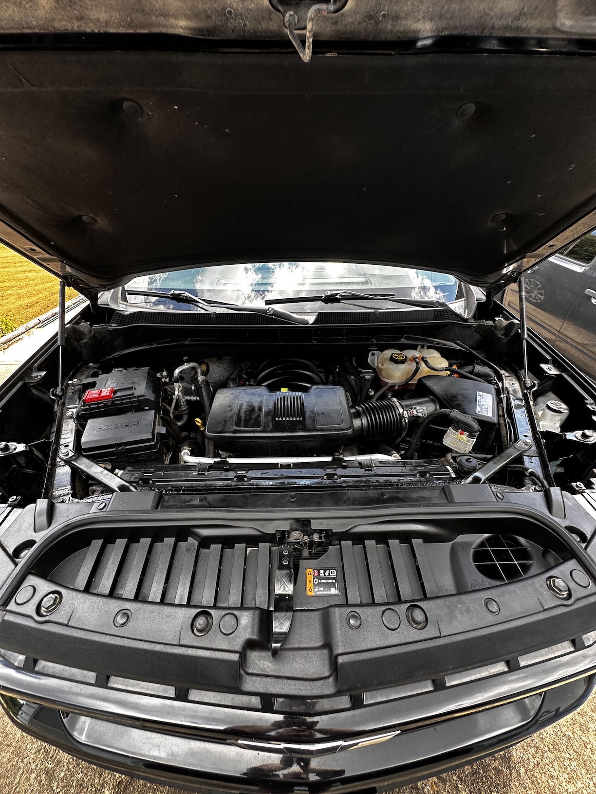 car engine professionally cleaned